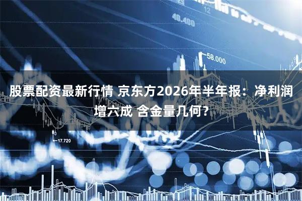 股票配资最新行情 京东方2026年半年报：净利润增六成 含金量几何？